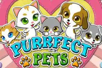 purrfect-pets